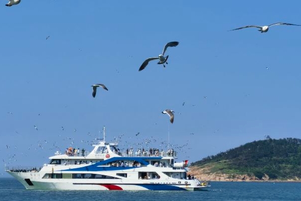 2023海驴岛旅游攻略 - 门票 - 交通 - 景点介绍 - 地址 - 天气 - 电话 - 开放时间