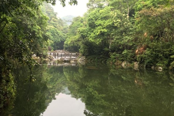 2023畲山水景区游玩攻略 - 门票价格 - 优惠政策 - 开放时间 - 简介 - 地址 - 交通 - 电话