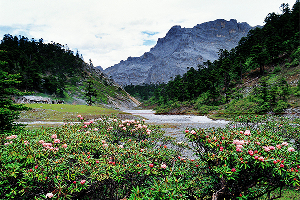 香格里拉巴拉格宗旅游攻略-门票价格-景点信息