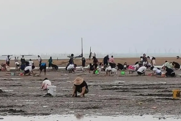 汕头赶海的地方在哪里