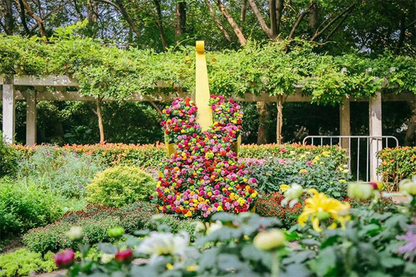 2023上海嘉定菊花展时间+地点+门票