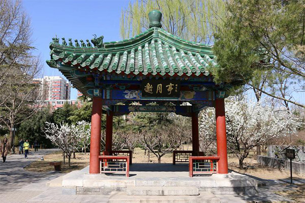 2024北京月坛公园旅游攻略-门票价格-景点信息