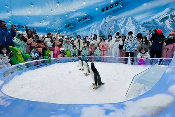 2024广州正佳企鹅冰雪世界旅游攻略-门票价格-景点信息